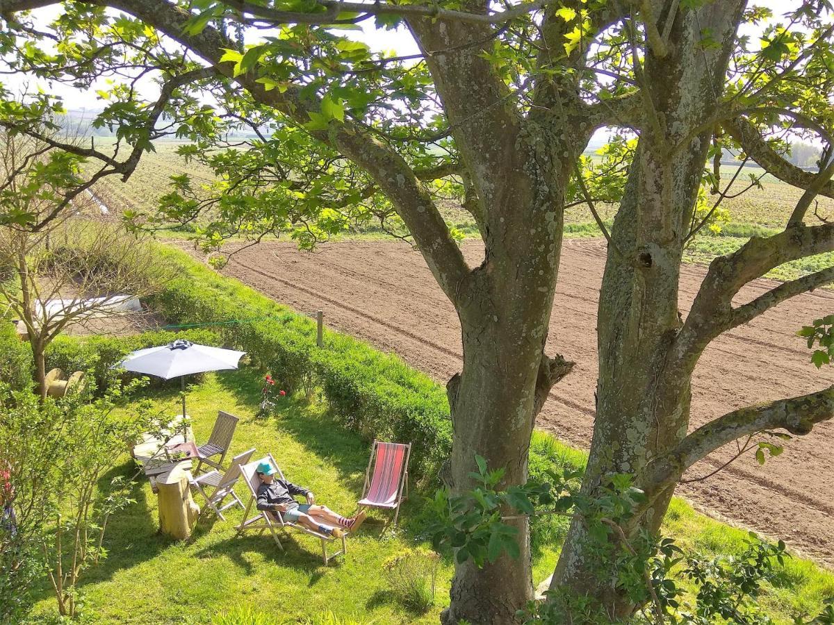 La Grange Aux Lievres, Gites Kerdoel Cléder Exteriér fotografie
